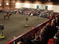 Tiered seating at Monty Roberts equine event